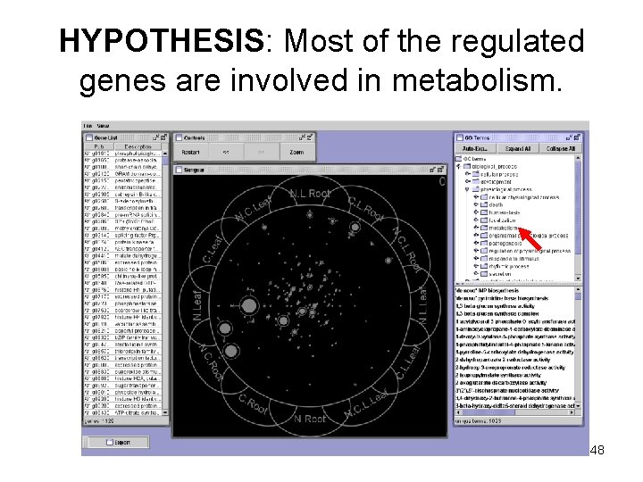 HYPOTHESIS: Most of the regulated genes are involved in metabolism. 48 