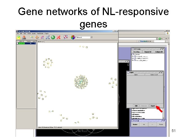 Gene networks of NL-responsive genes 51 