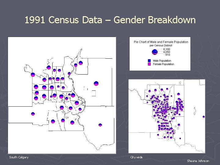 1991 Census Data – Gender Breakdown South Calgary City wide Sheena Johnson 