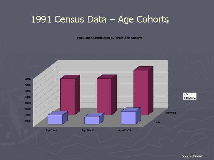 1991 Census Data – Age Cohorts Sheena Johnson 