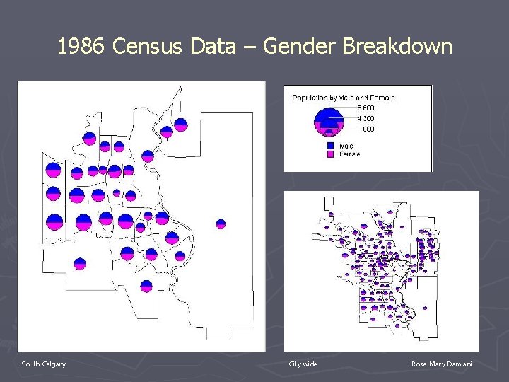 1986 Census Data – Gender Breakdown South Calgary City wide Rose-Mary Damiani 