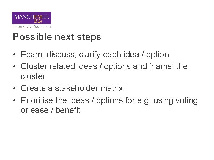 Possible next steps • Exam, discuss, clarify each idea / option • Cluster related