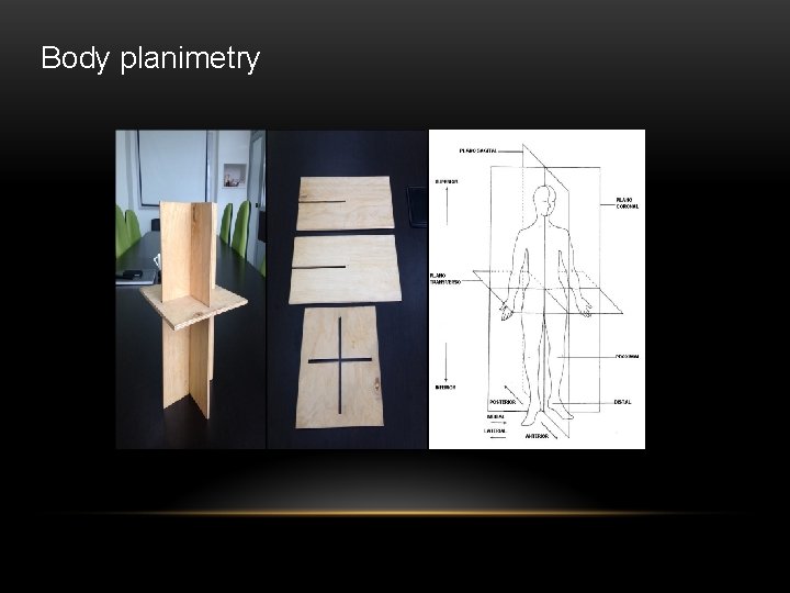 Body planimetry 