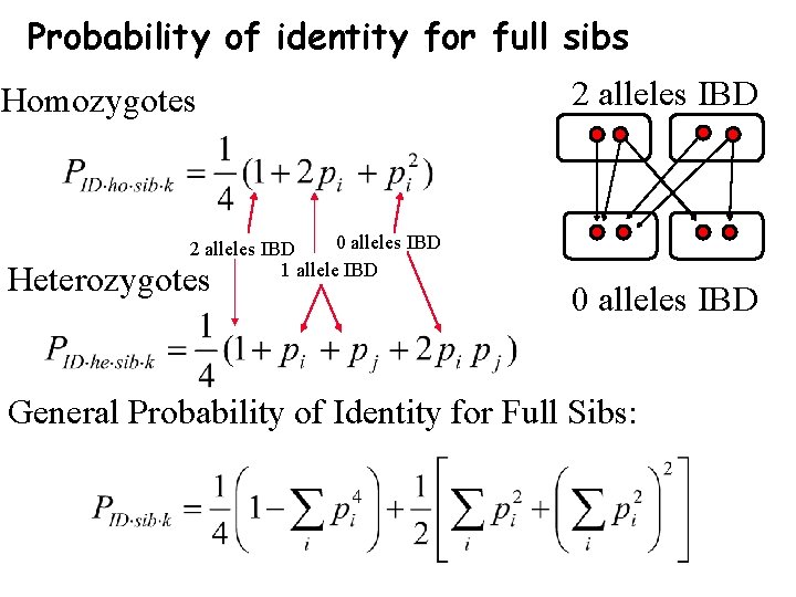 Probability of identity for full sibs Homozygotes 0 alleles IBD 2 alleles IBD 1