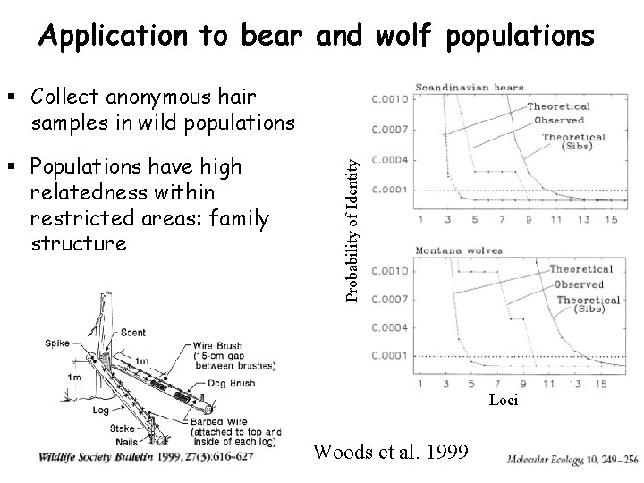 Application to bear and wolf populations § Populations have high relatedness within restricted areas: