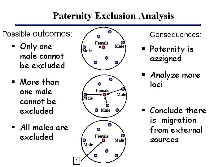 Paternity Exclusion Analysis Possible outcomes: Consequences: § Only one male cannot be excluded Female