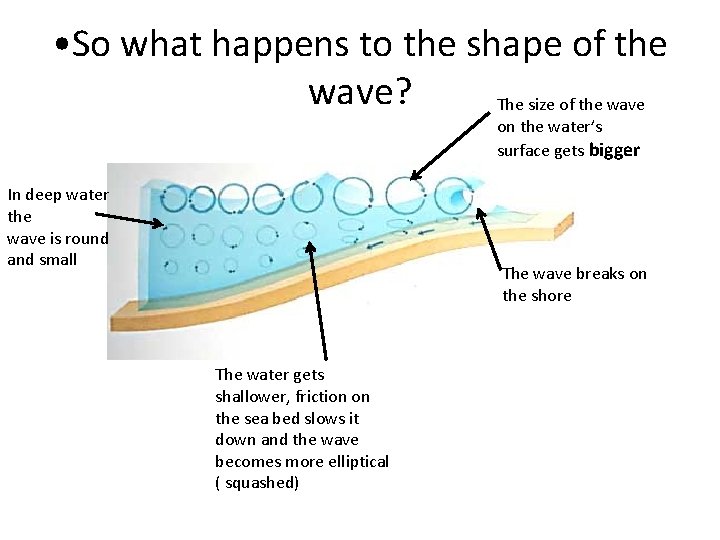  • So what happens to the shape of the wave? The size of