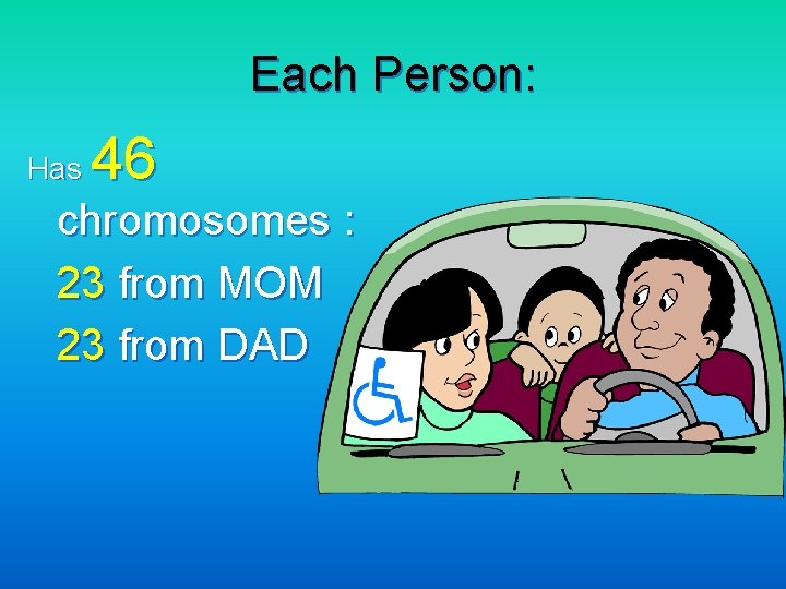 Each Person: Has 46 chromosomes : 23 from MOM 23 from DAD 