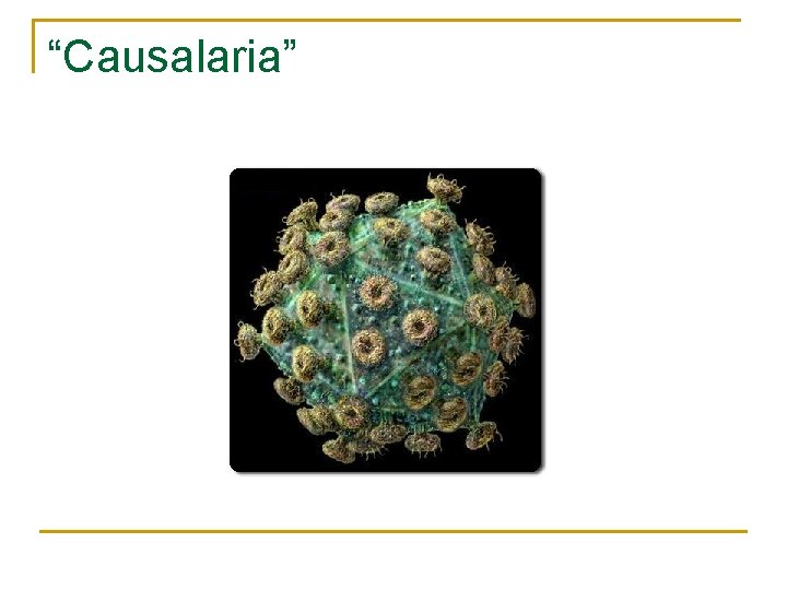 “Causalaria” 