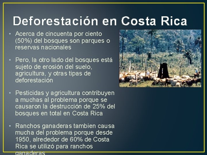 Deforestación en Costa Rica • Acerca de cincuenta por ciento (50%) del bosques son