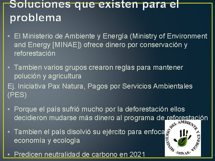 Soluciones que existen para el problema • El Ministerio de Ambiente y Energía (Ministry