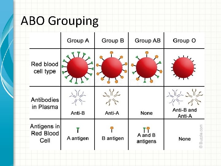 ABO Grouping 