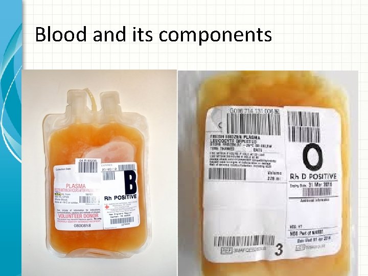 Blood and its components 
