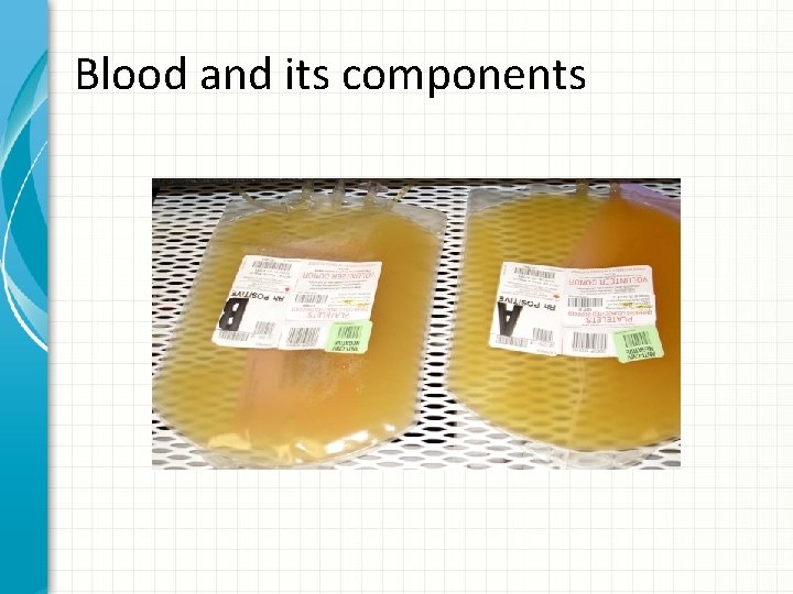 Blood and its components 