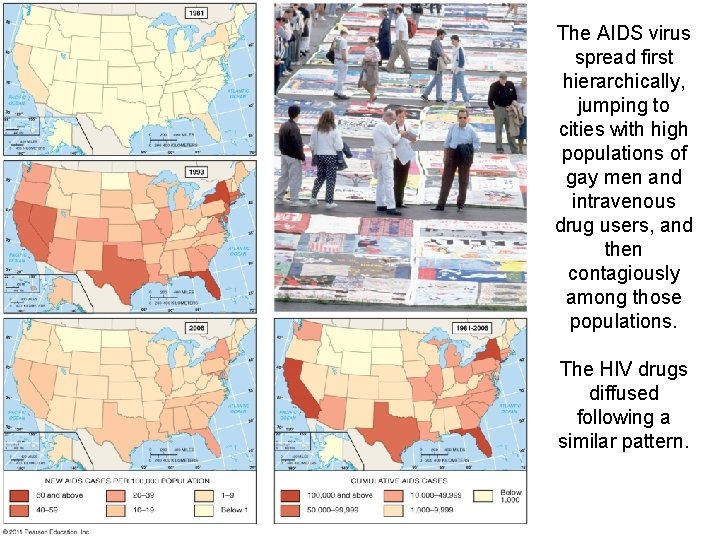 The AIDS virus spread first hierarchically, jumping to cities with high populations of gay