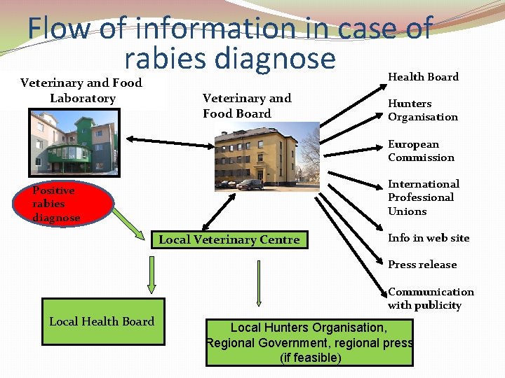 Flow of information in case of rabies diagnose Veterinary and Food Laboratory Health Board