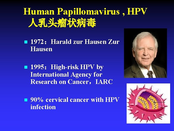 Human Papillomavirus , HPV 人乳头瘤状病毒 n 1972：Harald zur Hausen Zur Hausen n 1995：High-risk HPV