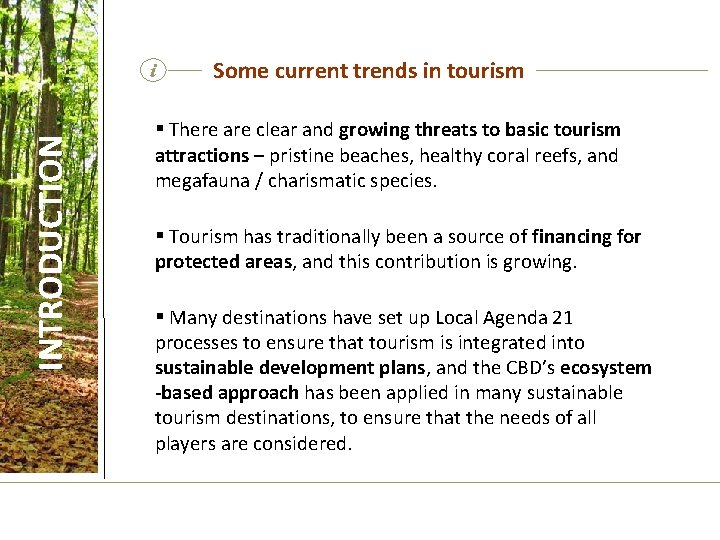 INTRODUCTION i Some current trends in tourism § There are clear and growing threats