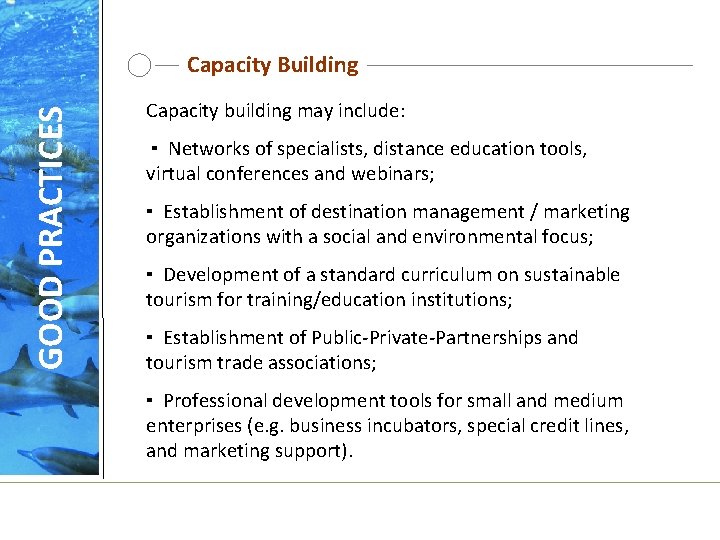 GOOD PRACTICES Capacity Building Capacity building may include: ▪ Networks of specialists, distance education
