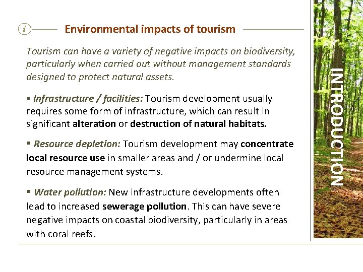 i Environmental impacts of tourism § Infrastructure / facilities: Tourism development usually requires some
