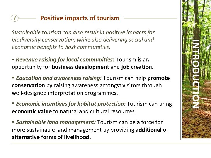 i Positive impacts of tourism § Revenue raising for local communities: Tourism is an