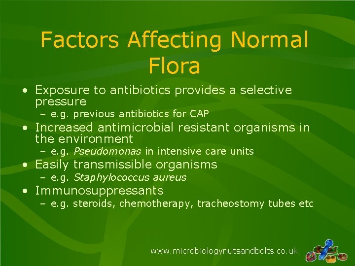 Factors Affecting Normal Flora • Exposure to antibiotics provides a selective pressure – e. Factors Affecting Normal Flora • Exposure to antibiotics provides a selective pressure – e.