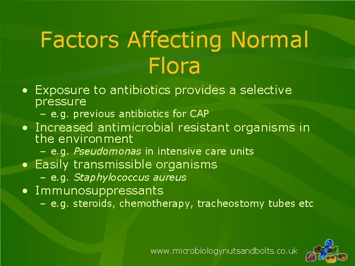 Factors Affecting Normal Flora • Exposure to antibiotics provides a selective pressure – e.