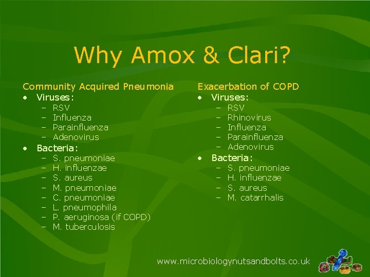 Why Amox & Clari? Community Acquired Pneumonia • Viruses: – – RSV Influenza Parainfluenza