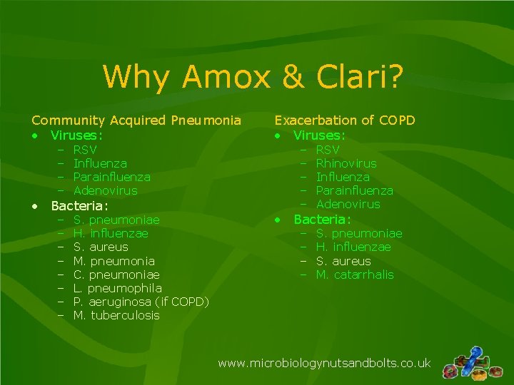 Why Amox & Clari? Community Acquired Pneumonia • Viruses: – – RSV Influenza Parainfluenza