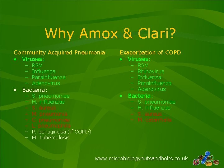Why Amox & Clari? Community Acquired Pneumonia • Viruses: – – RSV Influenza Parainfluenza Why Amox & Clari? Community Acquired Pneumonia • Viruses: – – RSV Influenza Parainfluenza