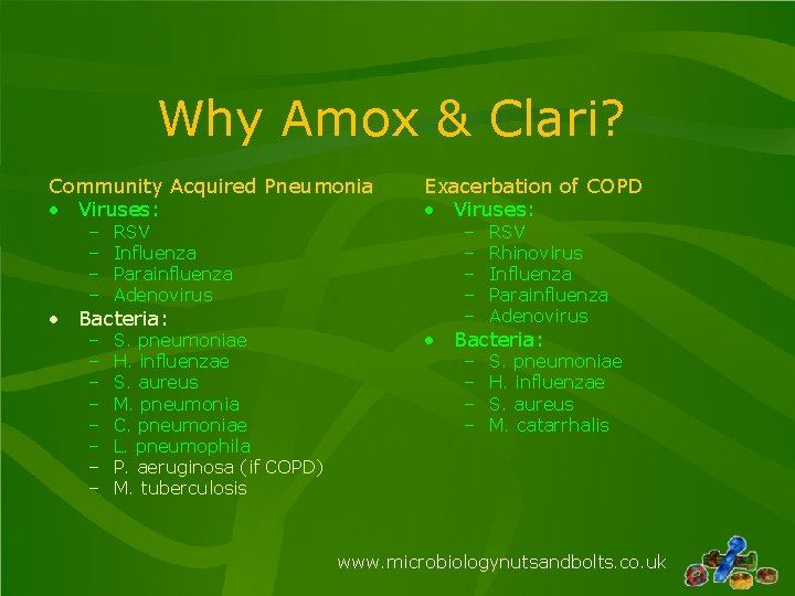 Why Amox & Clari? Community Acquired Pneumonia • Viruses: – – RSV Influenza Parainfluenza Why Amox & Clari? Community Acquired Pneumonia • Viruses: – – RSV Influenza Parainfluenza