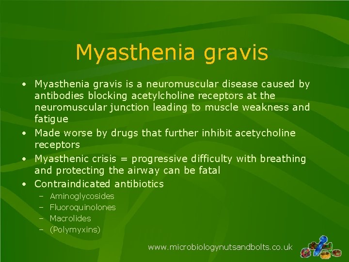 Myasthenia gravis • Myasthenia gravis is a neuromuscular disease caused by antibodies blocking acetylcholine