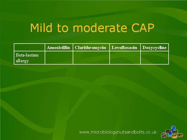 Mild to moderate CAP Amoxicillin Clarithromycin Levofloxacin Doxycycline Beta-lactam allergy www. microbiologynutsandbolts. co. uk Mild to moderate CAP Amoxicillin Clarithromycin Levofloxacin Doxycycline Beta-lactam allergy www. microbiologynutsandbolts. co. uk
