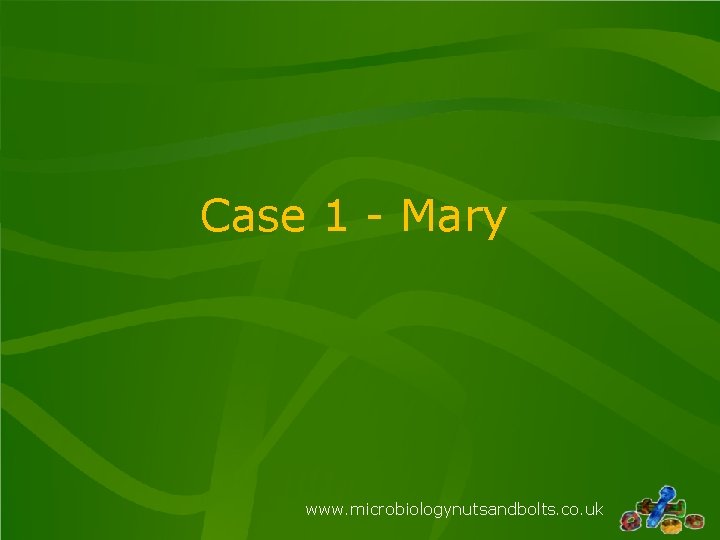 Case 1 - Mary www. microbiologynutsandbolts. co. uk Case 1 - Mary www. microbiologynutsandbolts. co. uk