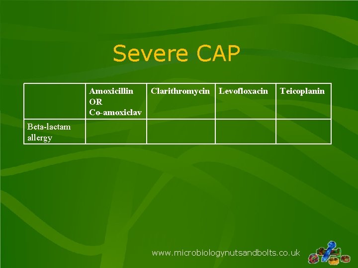 Severe CAP Amoxicillin Clarithromycin Levofloxacin OR Co-amoxiclav Teicoplanin Beta-lactam allergy www. microbiologynutsandbolts. co. uk Severe CAP Amoxicillin Clarithromycin Levofloxacin OR Co-amoxiclav Teicoplanin Beta-lactam allergy www. microbiologynutsandbolts. co. uk