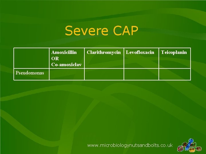 Severe CAP Amoxicillin Clarithromycin Levofloxacin OR Co-amoxiclav Teicoplanin Pseudomonas www. microbiologynutsandbolts. co. uk 