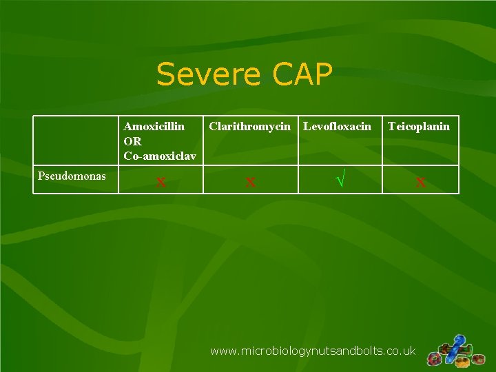 Severe CAP Amoxicillin Clarithromycin Levofloxacin OR Co-amoxiclav Pseudomonas x x √ Teicoplanin x www.