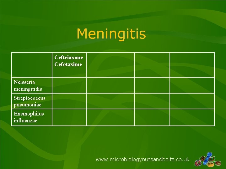 Meningitis Ceftriaxone Cefotaxime Neisseria meningitidis Streptococcus pneumoniae Haemophilus influenzae www. microbiologynutsandbolts. co. uk Meningitis Ceftriaxone Cefotaxime Neisseria meningitidis Streptococcus pneumoniae Haemophilus influenzae www. microbiologynutsandbolts. co. uk