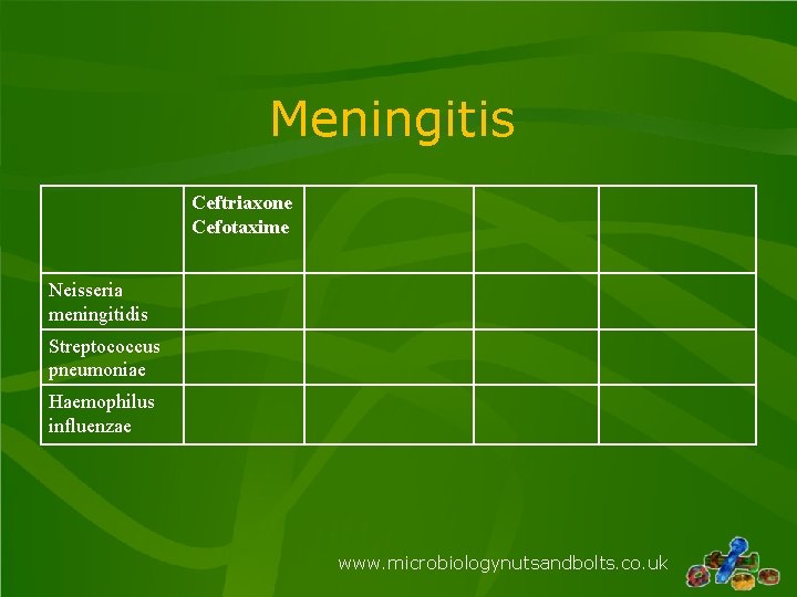 Meningitis Ceftriaxone Cefotaxime Neisseria meningitidis Streptococcus pneumoniae Haemophilus influenzae www. microbiologynutsandbolts. co. uk 