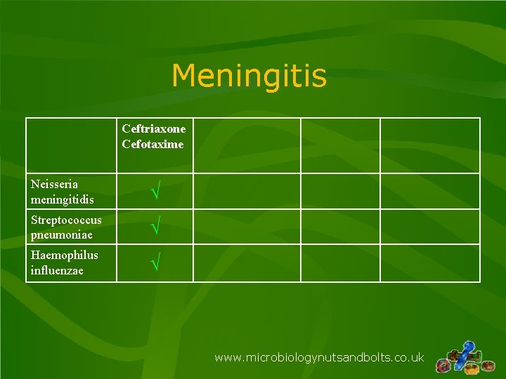 Meningitis Ceftriaxone Cefotaxime Neisseria meningitidis √ Streptococcus pneumoniae √ Haemophilus influenzae √ www. microbiologynutsandbolts.