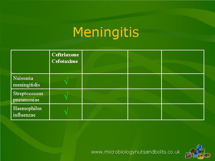 Meningitis Ceftriaxone Cefotaxime Neisseria meningitidis √ Streptococcus pneumoniae √ Haemophilus influenzae √ www. microbiologynutsandbolts. Meningitis Ceftriaxone Cefotaxime Neisseria meningitidis √ Streptococcus pneumoniae √ Haemophilus influenzae √ www. microbiologynutsandbolts.