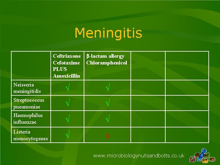 Meningitis Ceftriaxone b-lactam allergy Cefotaxime Chloramphenicol PLUS Amoxicillin Neisseria meningitidis √ √ Streptococcus pneumoniae