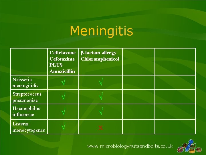 Meningitis Ceftriaxone b-lactam allergy Cefotaxime Chloramphenicol PLUS Amoxicillin Neisseria meningitidis √ √ Streptococcus pneumoniae Meningitis Ceftriaxone b-lactam allergy Cefotaxime Chloramphenicol PLUS Amoxicillin Neisseria meningitidis √ √ Streptococcus pneumoniae