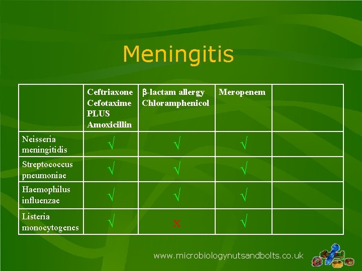 Meningitis Ceftriaxone b-lactam allergy Cefotaxime Chloramphenicol PLUS Amoxicillin Meropenem Neisseria meningitidis √ √ √ Meningitis Ceftriaxone b-lactam allergy Cefotaxime Chloramphenicol PLUS Amoxicillin Meropenem Neisseria meningitidis √ √ √