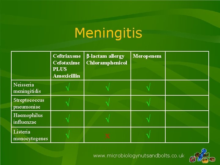 Meningitis Ceftriaxone b-lactam allergy Cefotaxime Chloramphenicol PLUS Amoxicillin Meropenem Neisseria meningitidis √ √ √