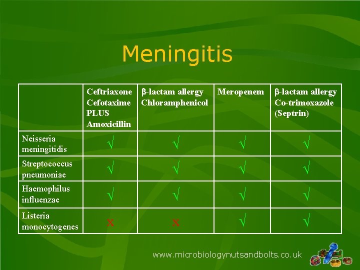 Meningitis Ceftriaxone b-lactam allergy Cefotaxime Chloramphenicol PLUS Amoxicillin Meropenem b-lactam allergy Co-trimoxazole (Septrin) Neisseria