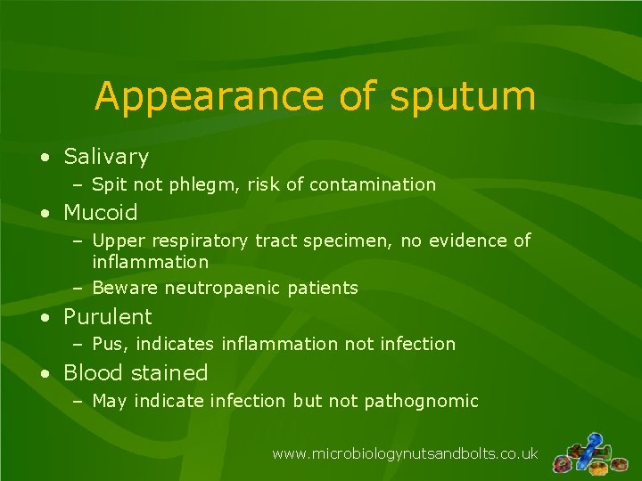 Appearance of sputum • Salivary – Spit not phlegm, risk of contamination • Mucoid