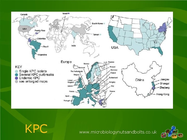 KPC www. microbiologynutsandbolts. co. uk KPC www. microbiologynutsandbolts. co. uk