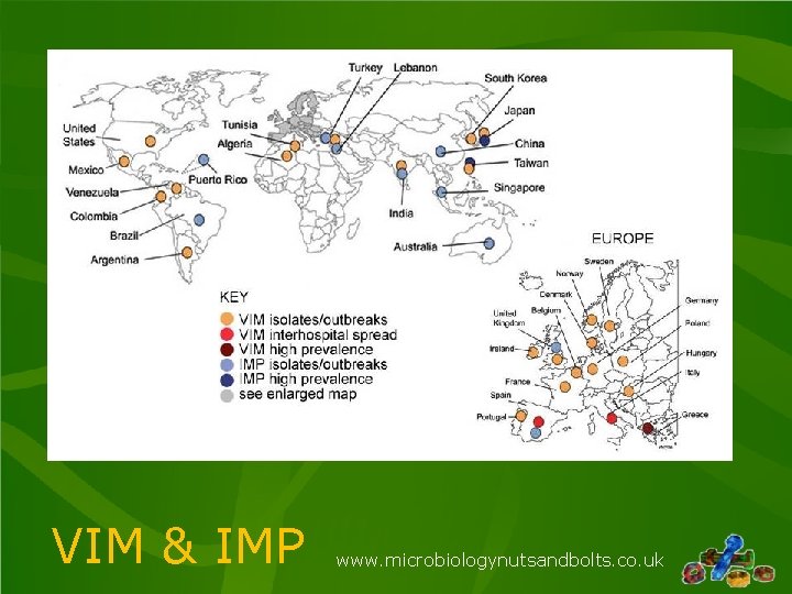 VIM & IMP www. microbiologynutsandbolts. co. uk VIM & IMP www. microbiologynutsandbolts. co. uk