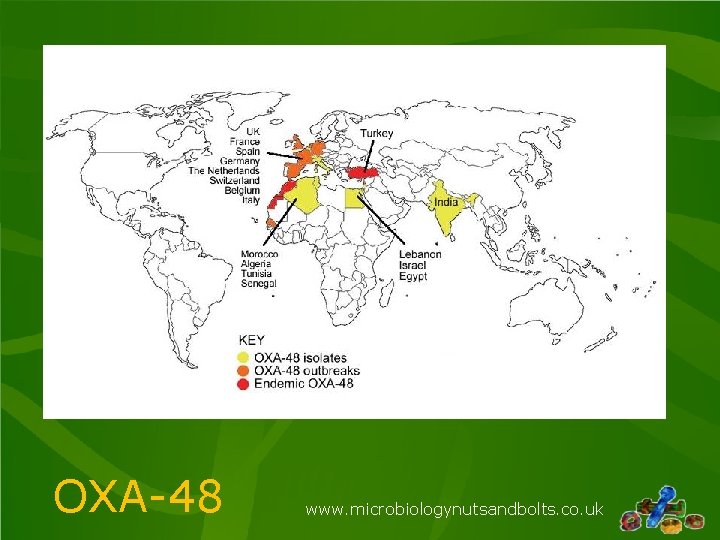 OXA-48 www. microbiologynutsandbolts. co. uk OXA-48 www. microbiologynutsandbolts. co. uk